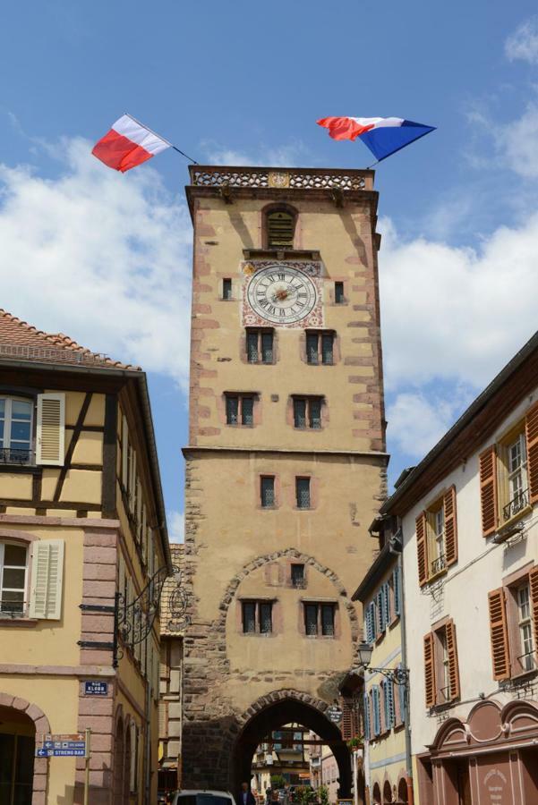 Ribeauville City Center - Gite Des Menetriers, Le Riesling - Luaran gambar